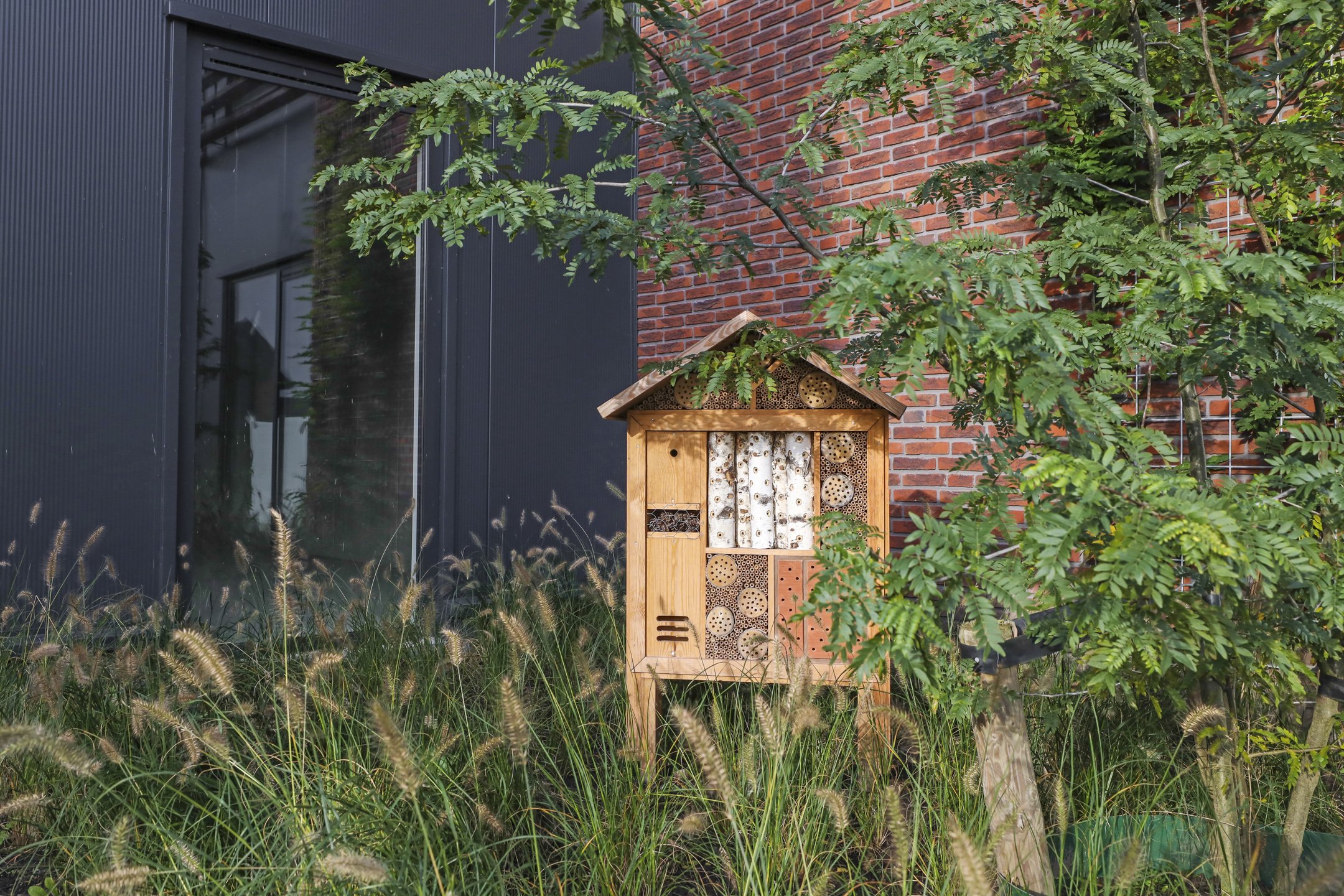 Duurzaam ondernemen met natuur inclusief bouwen